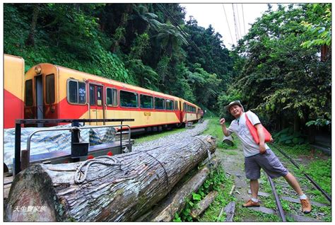 十字路|嘉義阿里山「十字路車站」深山古樸小村秘境觀景亭放。